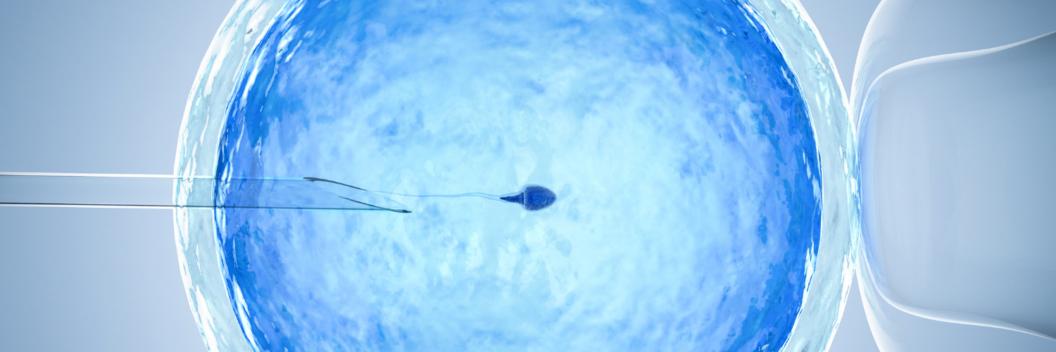logosbanner