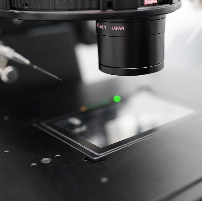 Microscopio